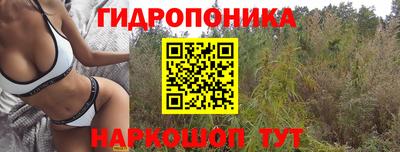 крисы Будённовск