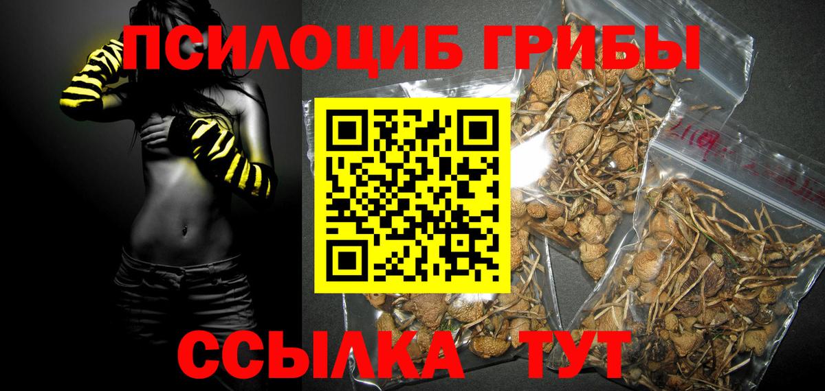 Галлюциногенные грибы ЛСД Нальчик
